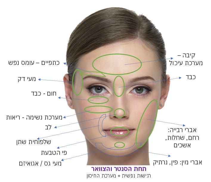 פיור הרבל