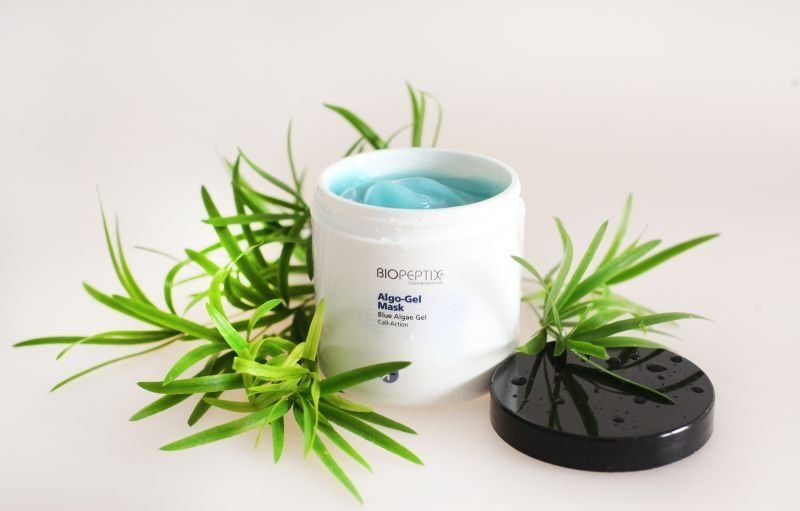 White jar with blue lid beside green leaves and a black lid on a white background
