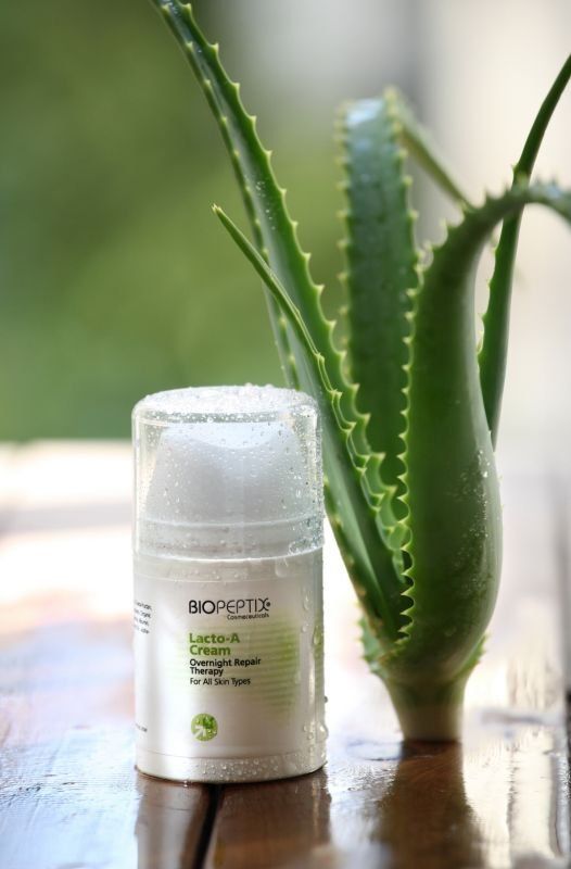 Aloe vera plant next to a white skincare bottle on a wooden table.