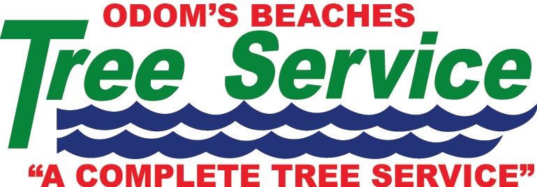 Beaches Tree Services Beaches Tree Services