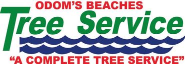 Beaches Tree Services Beaches Tree Services
