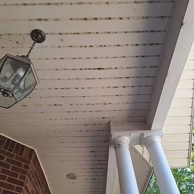 White porch ceiling with hanging lantern, brick wall, and white columns against trees beyond