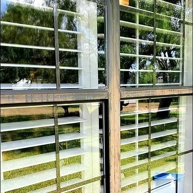 Glass storefront window with white horizontal blinds reflecting green trees and grass outside