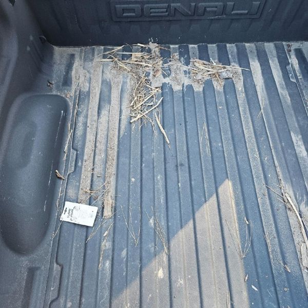 The interior of a dark gray truck bed with the Denali logo, scattered with dry grass, dirt, and a small white price tag.