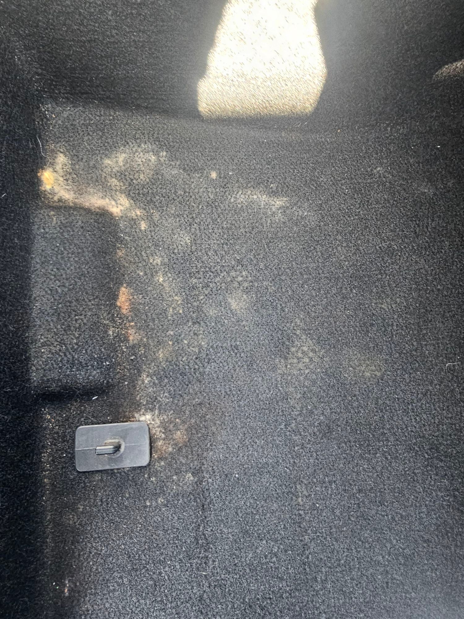 Black carpeted interior surface with a small gray latch and a bright light reflection near the top. Black carpeted interior surface with a small gray latch and a bright light reflection near the top.