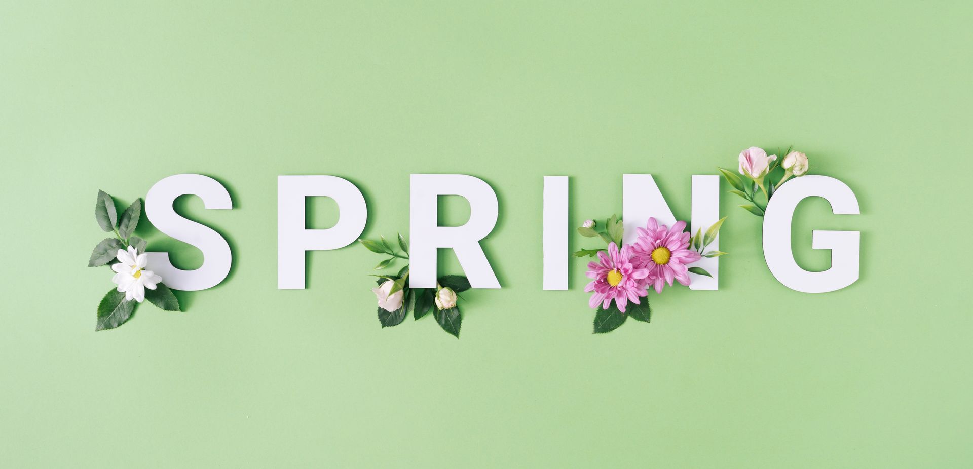 The word spring is made of white letters and flowers on a green background.