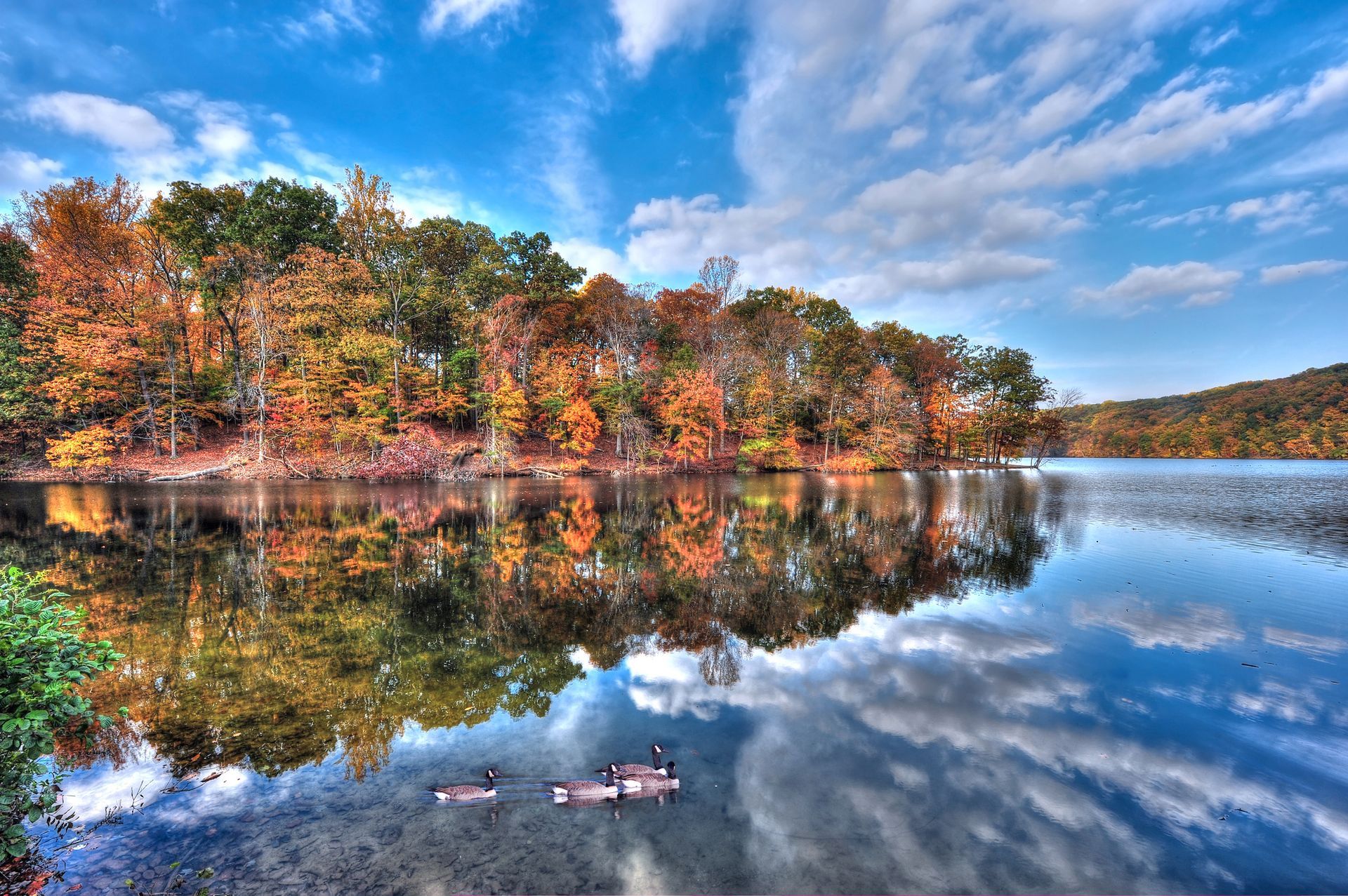 A lake surrounded by trees on a sunny day