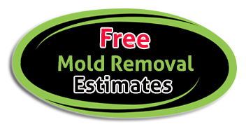 Free Mold Removal Estimates