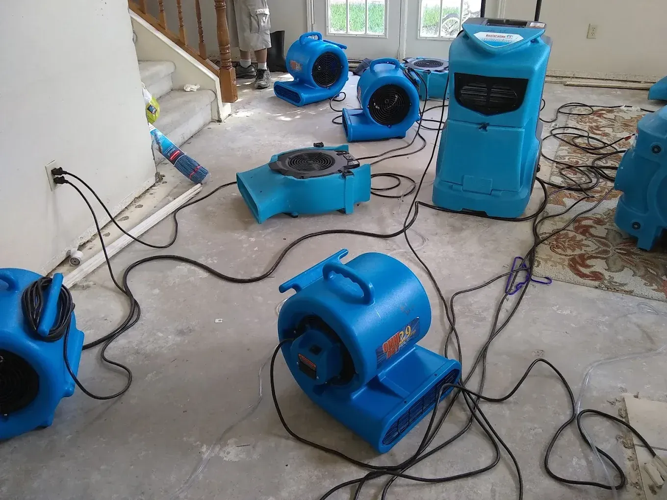 Water Removal Catonsville MD