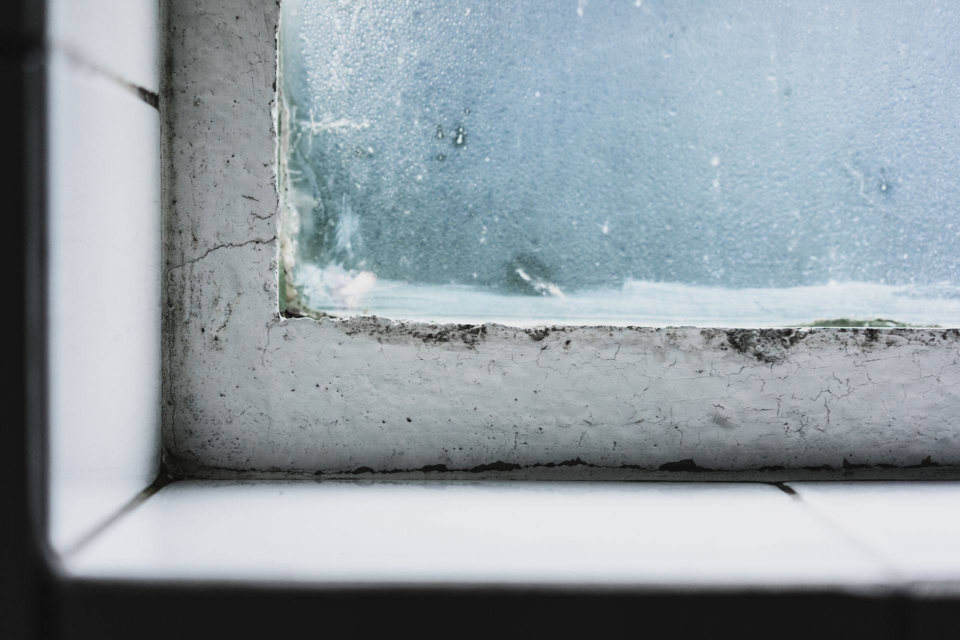 5 Things You Should Never Do After Water Damage