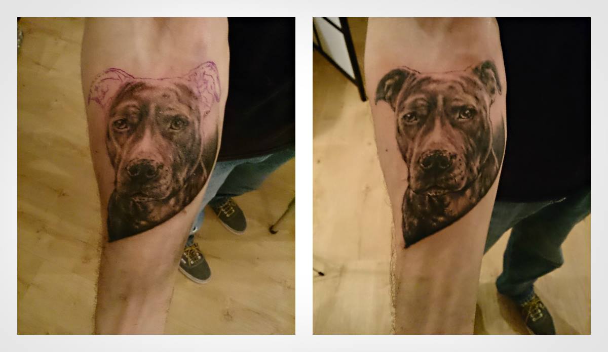 Twee foto's naast elkaar van een berentattoo op een been: de ene met roze sjabloonlijnen en de andere afgewerkt met donkere inkt.