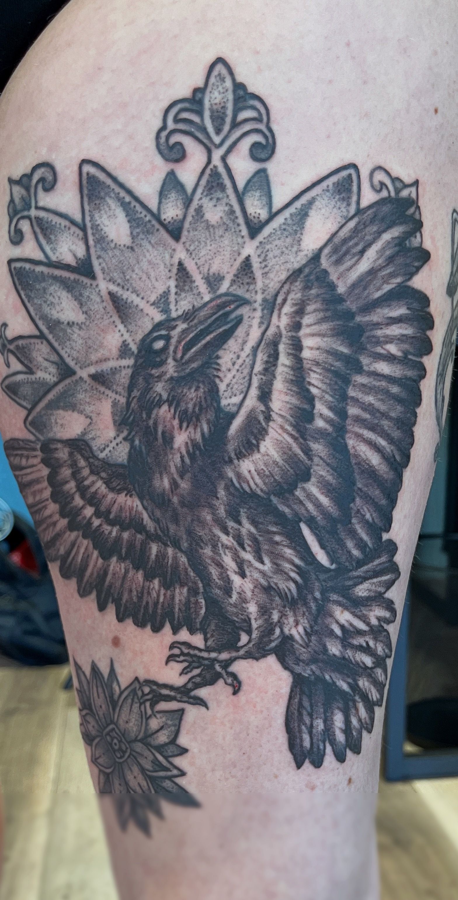Zwart-grijze tatoeage van een gevederde uil met gespreide vleugels op het been van een persoon.