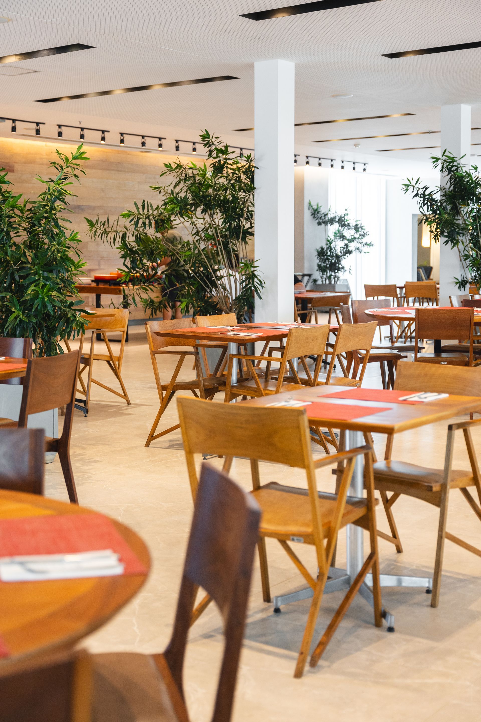 Um restaurante com interior iluminado e arejado, mesas e cadeiras de madeira, vegetação e teto branco.