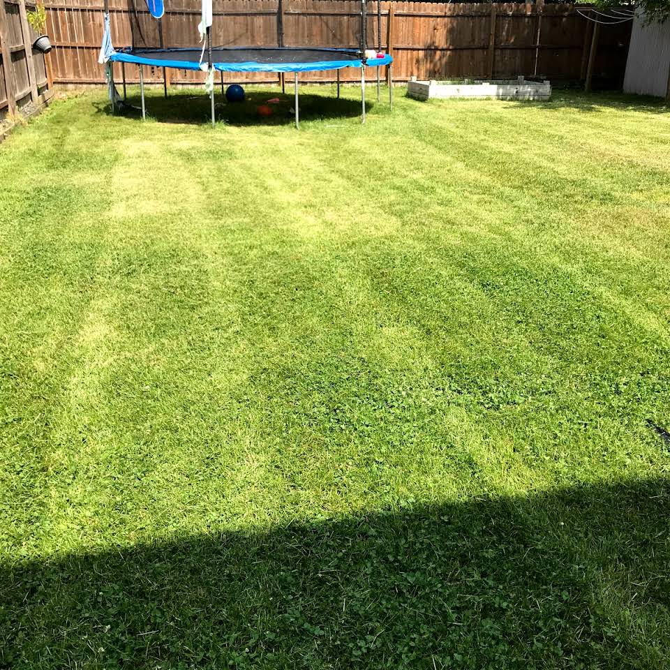 Trimmed Grass — Egg Harbor Township, NJ — EV Lawn and Landscape