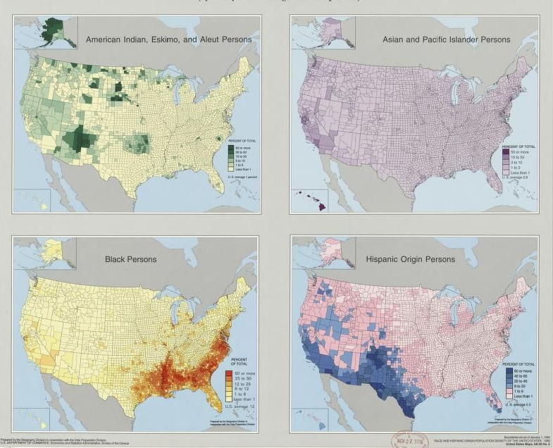 Race census map
