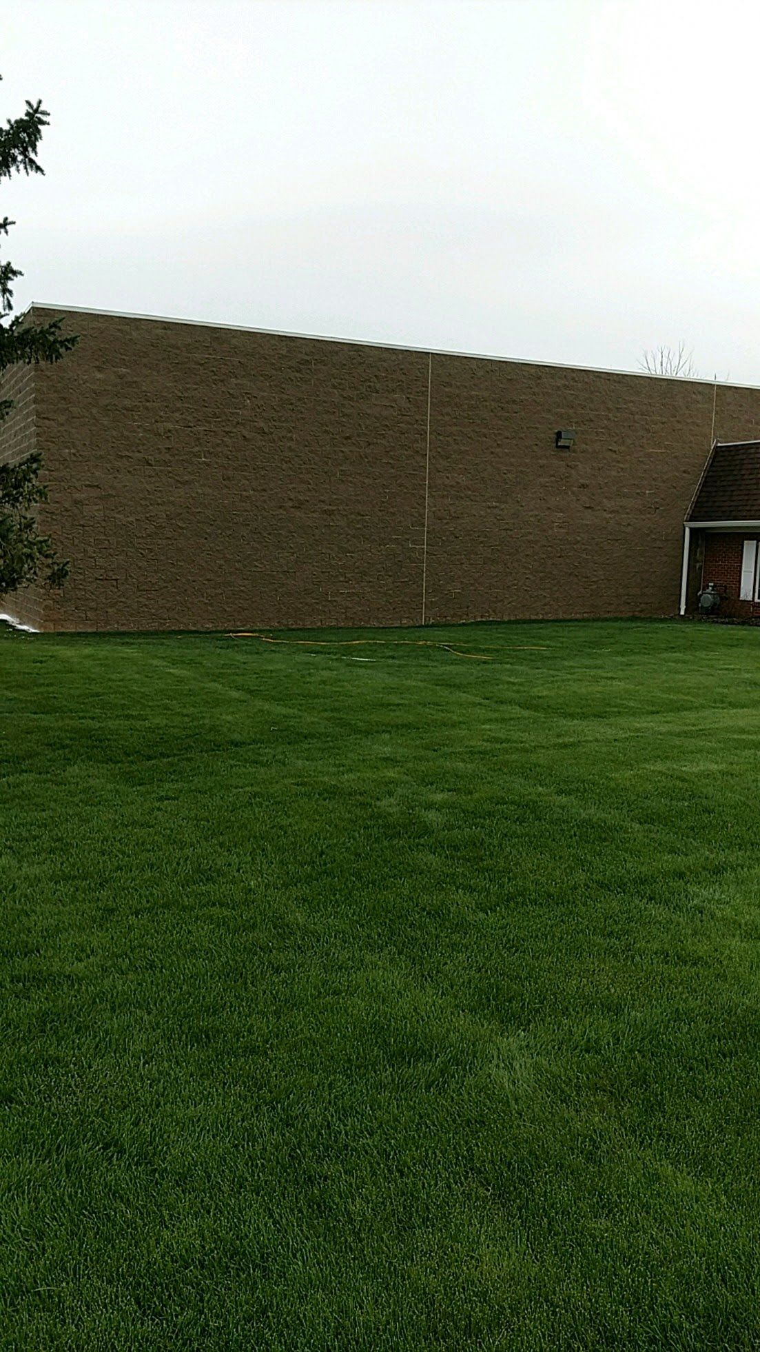A large lush green lawn with a brick wall in the background.
