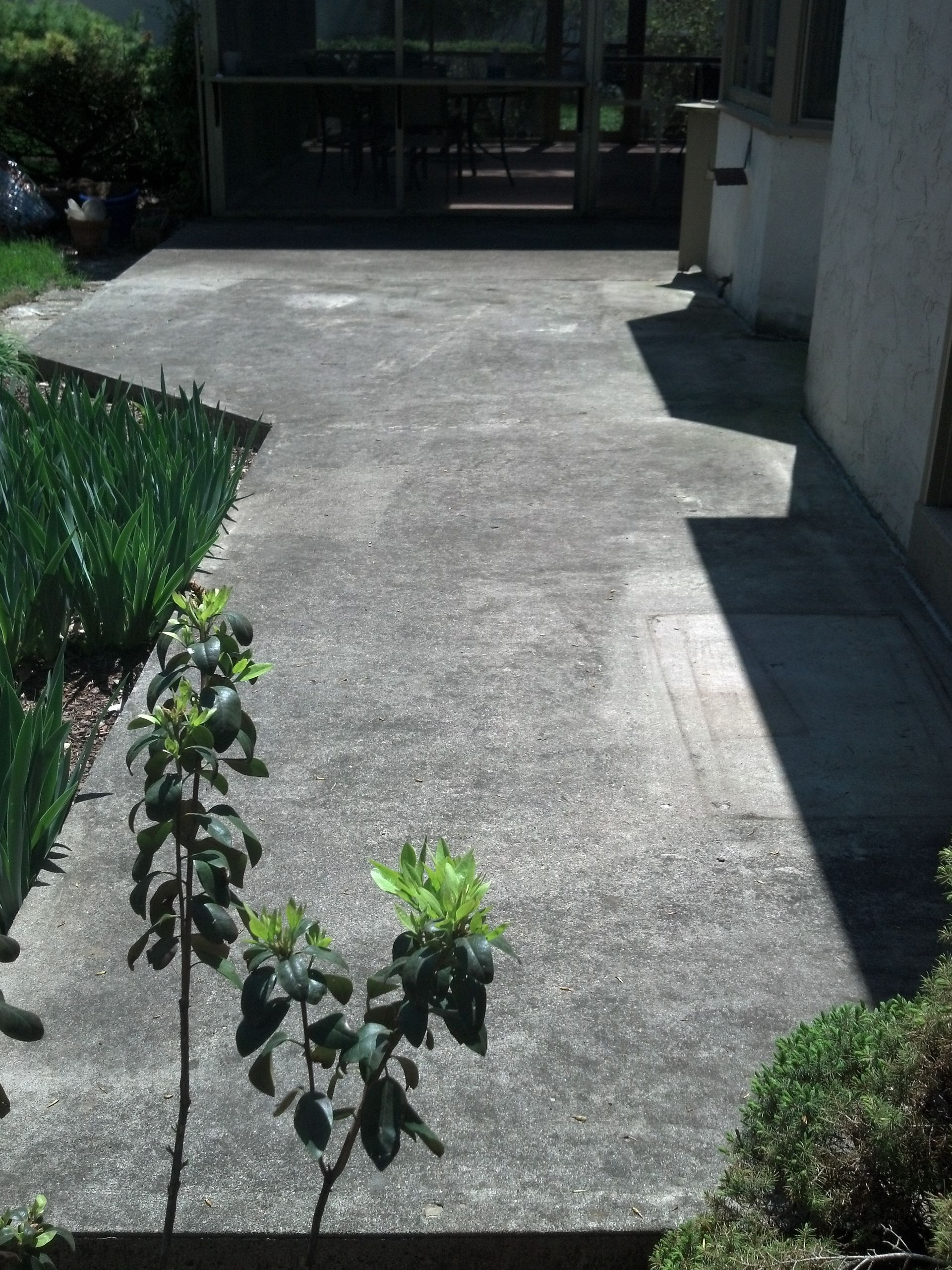 A concrete walkway with a tree in the middle of it