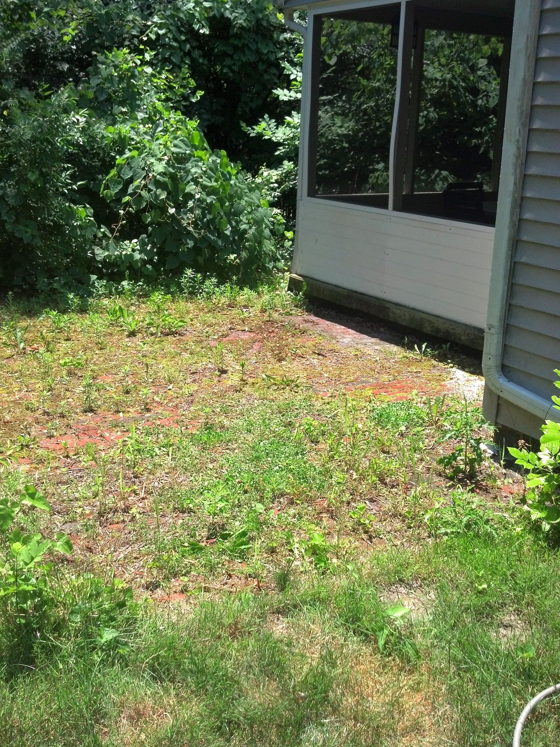 A house with a lot of grass in front of it.
