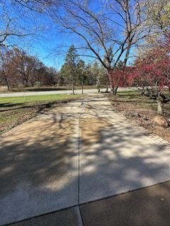 A concrete driveway leading to a park with trees on both sides.
