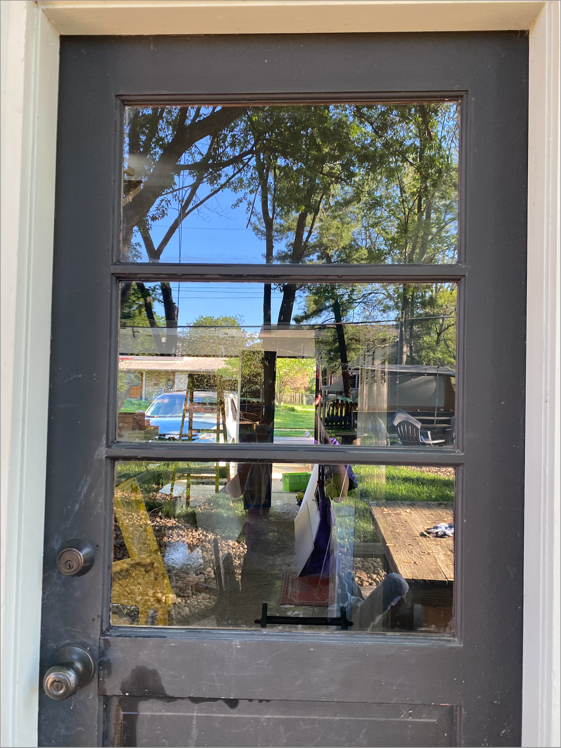 A black door with a reflection of trees in the glass.