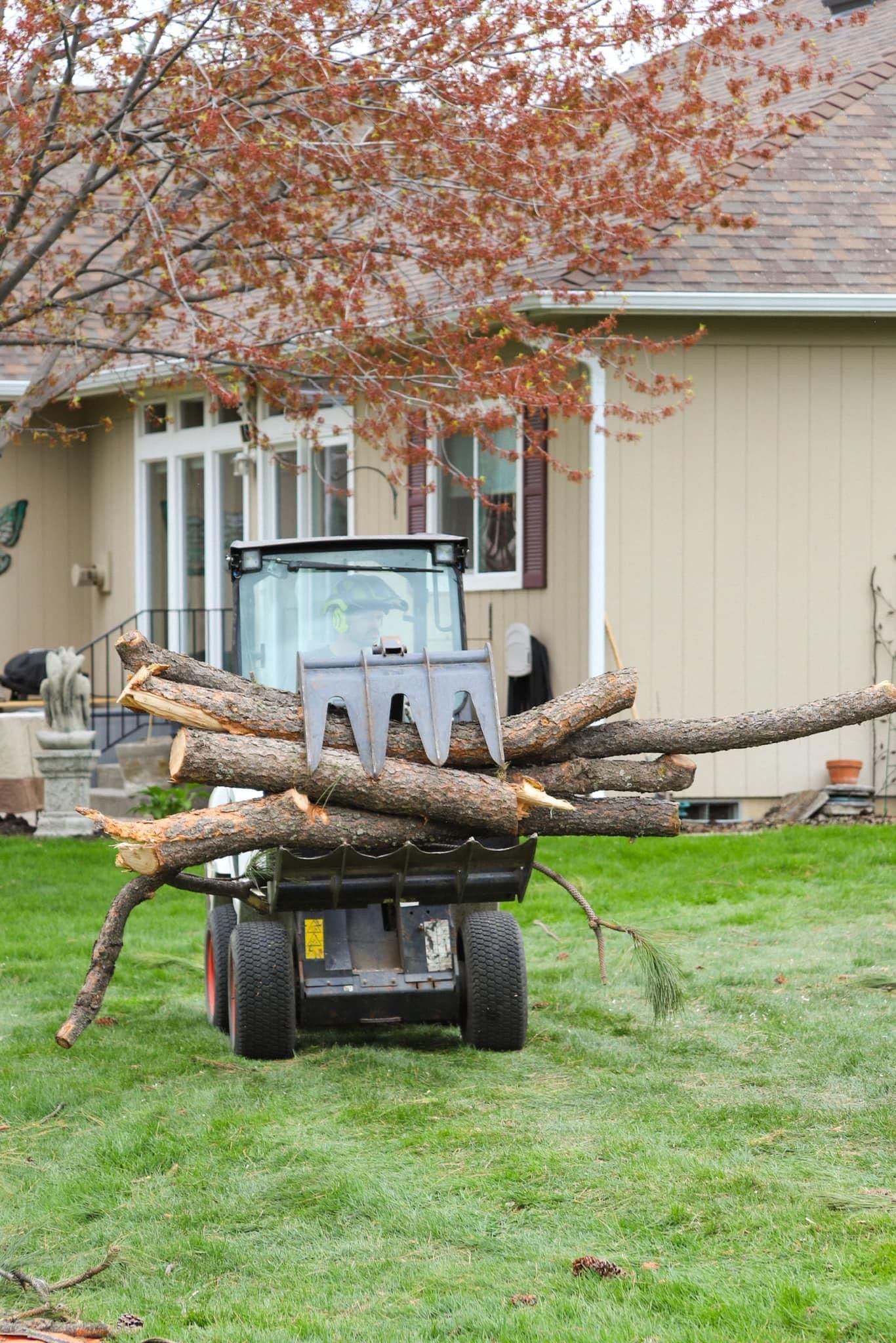 A loader is carrying a pile of logs in a yard.