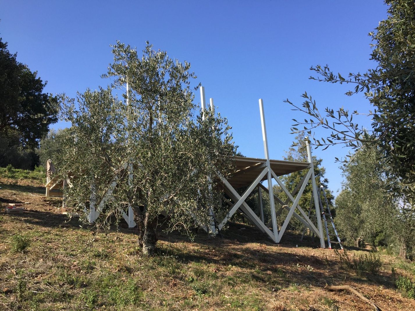 Costruzioni per glamping
