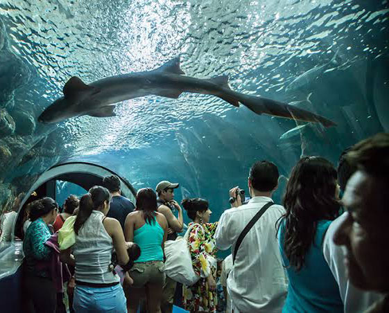 ACUARIO DE VERACRUZ