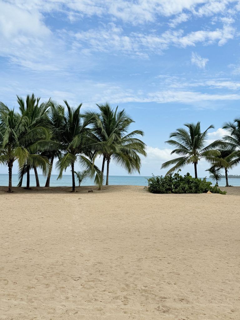 Sandy beach with palm trees under a partly cloudy blue sky, calm ocean in the distance.