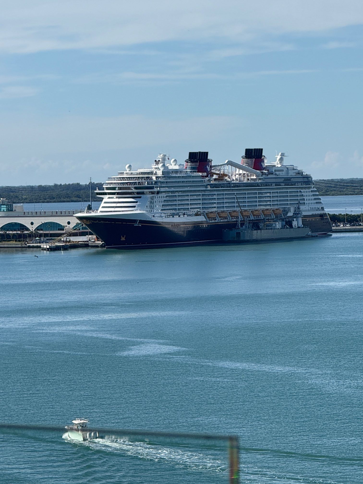Large cruise ship docked at a seaside port under a clear blue sky
