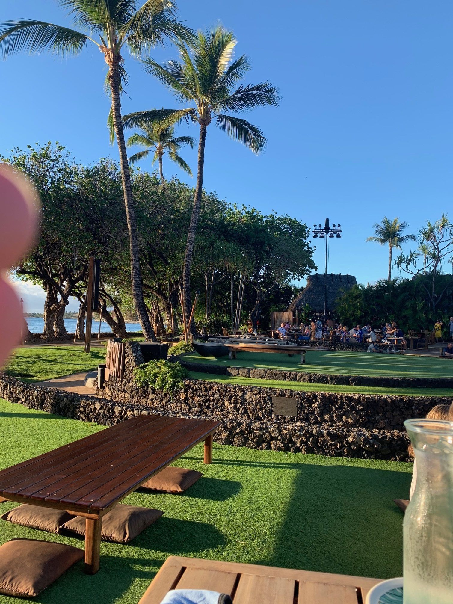 Sunny beach resort lawn with palm trees, wooden loungers, and ocean views in the background