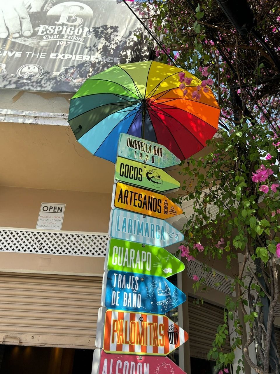 Colorful umbrella signpost with Spanish words in front of a building and flowering vines