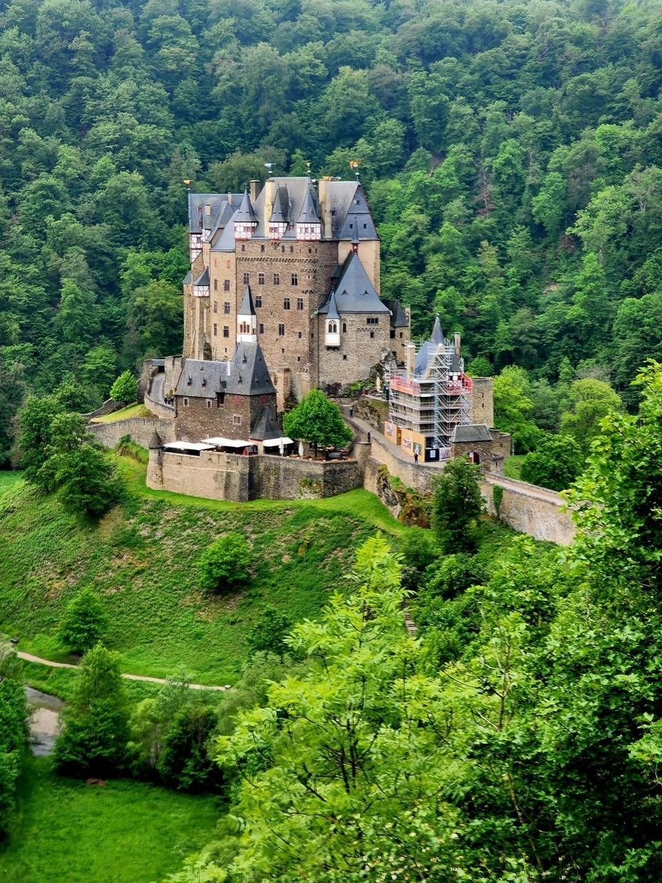 Stone castle on a green hill surrounded by dense forest.