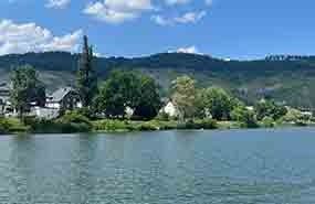 Lakefront houses and trees under a blue sky, with calm water in the foreground.