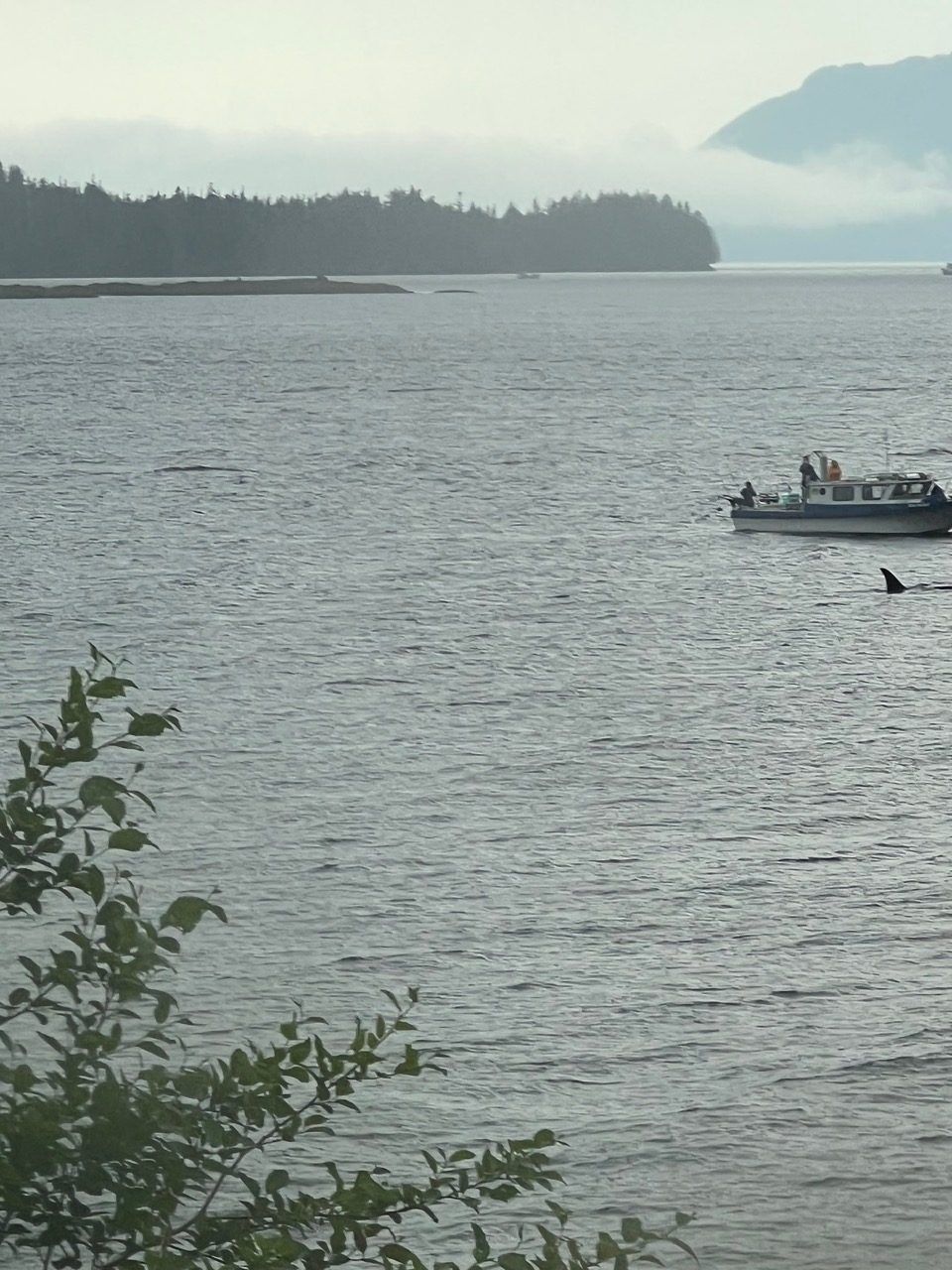 Small boat on a gray bay with distant forested shoreline and hazy mountains under an overcast sky
