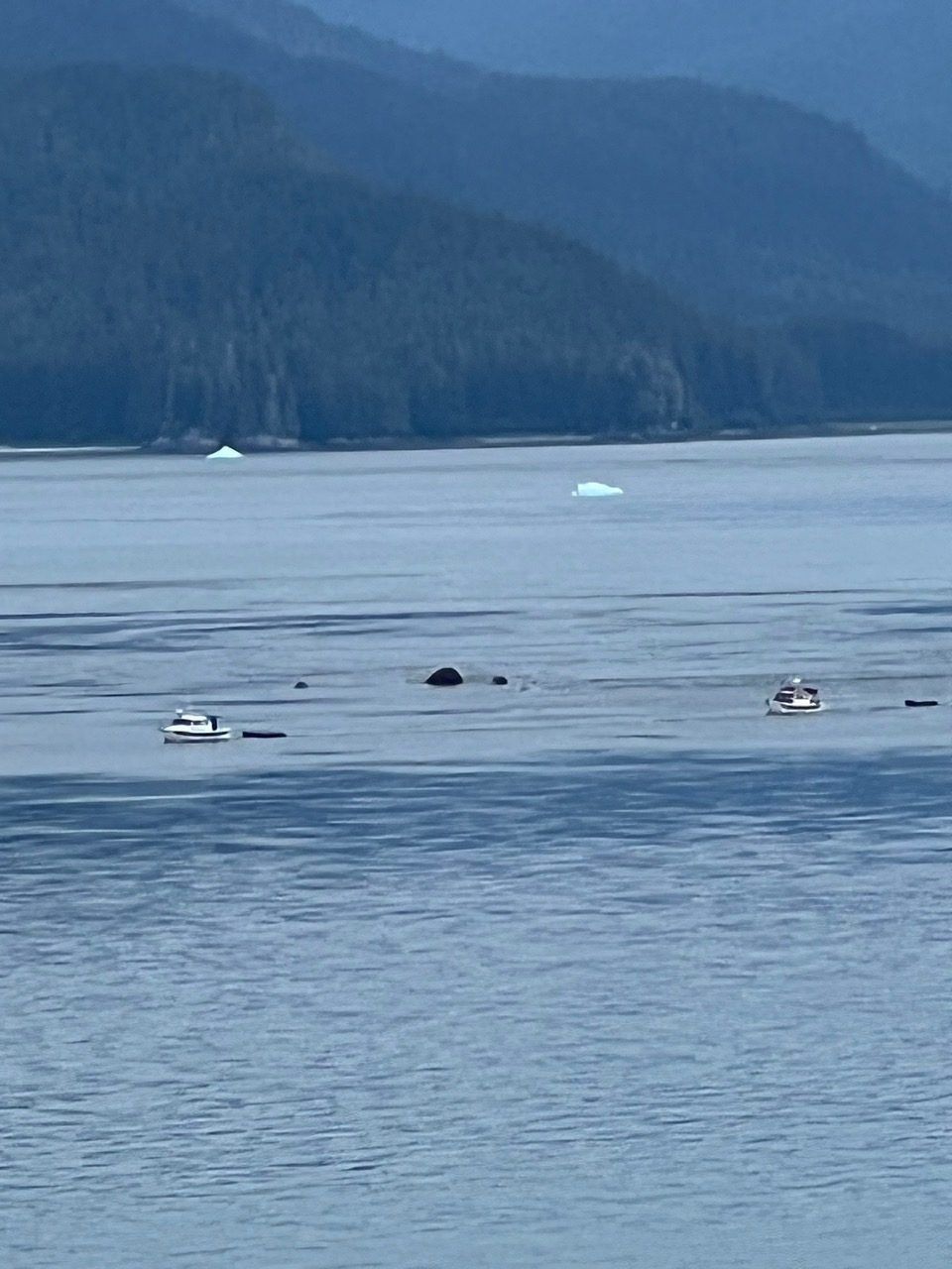 Calm blue bay with three small boats and distant forested hills under hazy light
