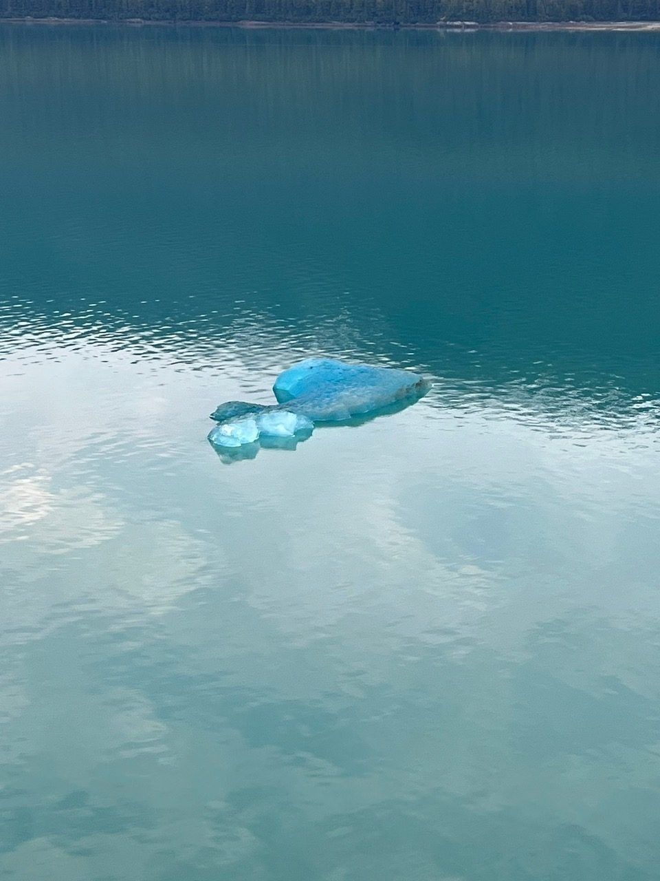 Blue plastic bag floating on calm turquoise water near the shore