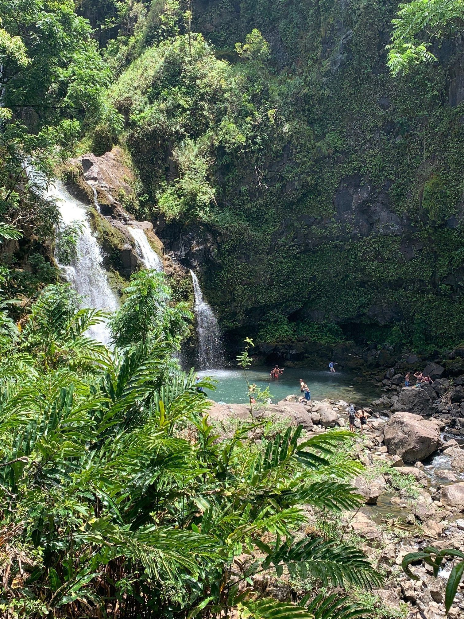 Waterfall cascading into a turquoise pool amid lush green forest and ferns