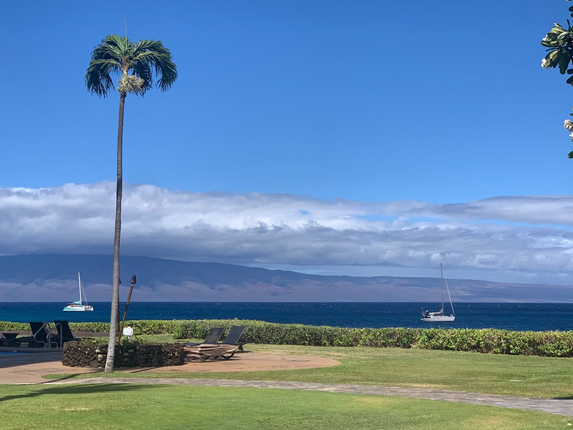 Tropical seaside view with a tall palm tree, blue ocean, distant mountains, and sailboats under a clear sky