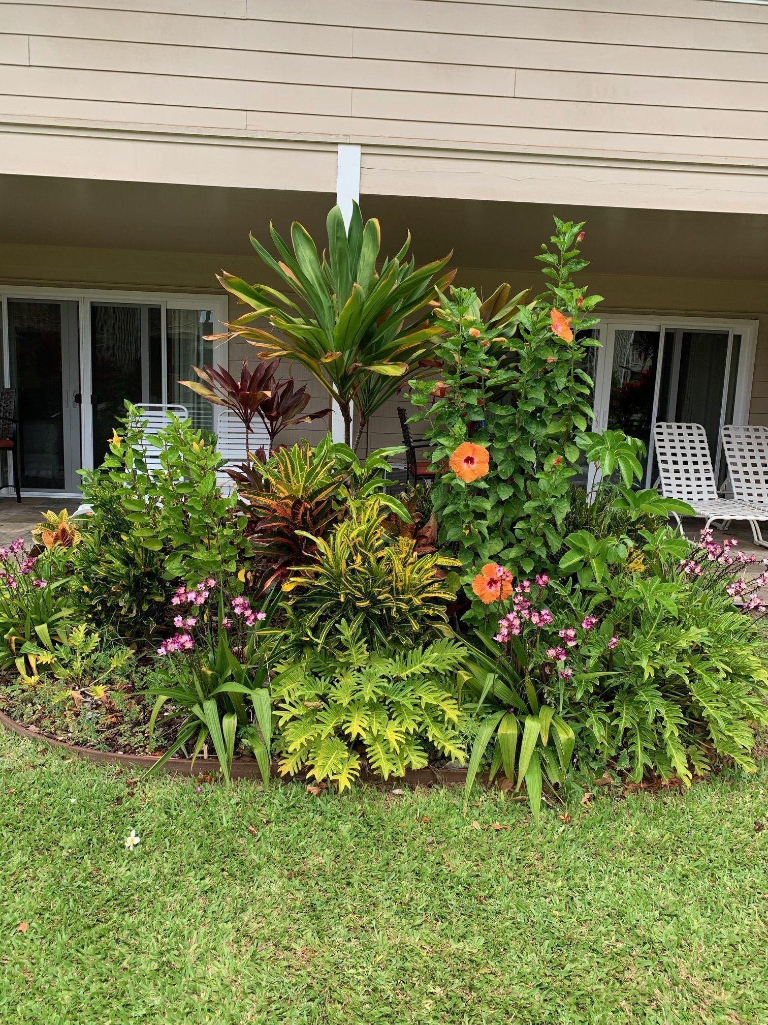 Tropical flower bed with lush green plants and orange blossoms in front of a house porch