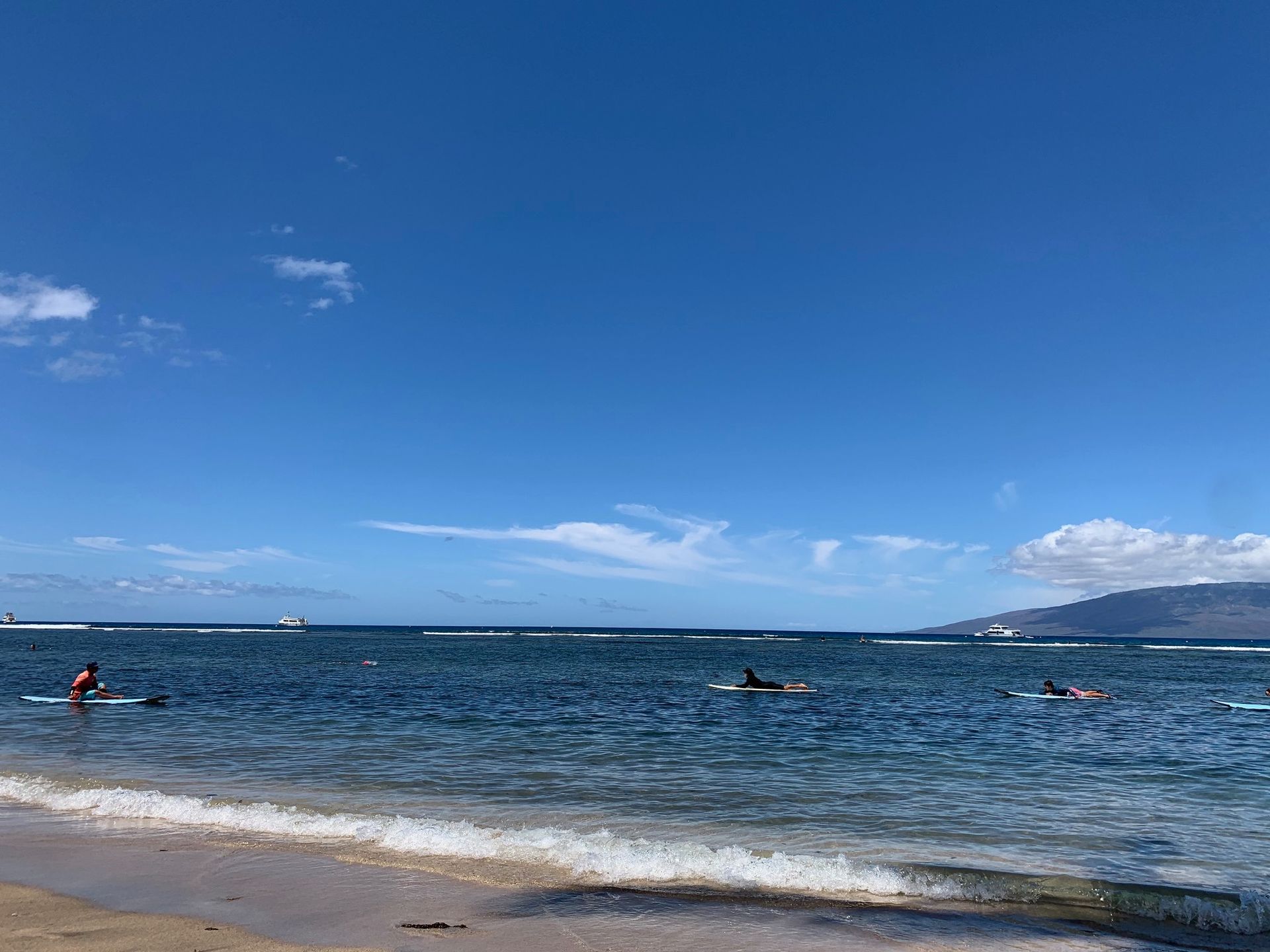 People swimming and wading in a calm blue ocean under a clear sky at a sandy beach