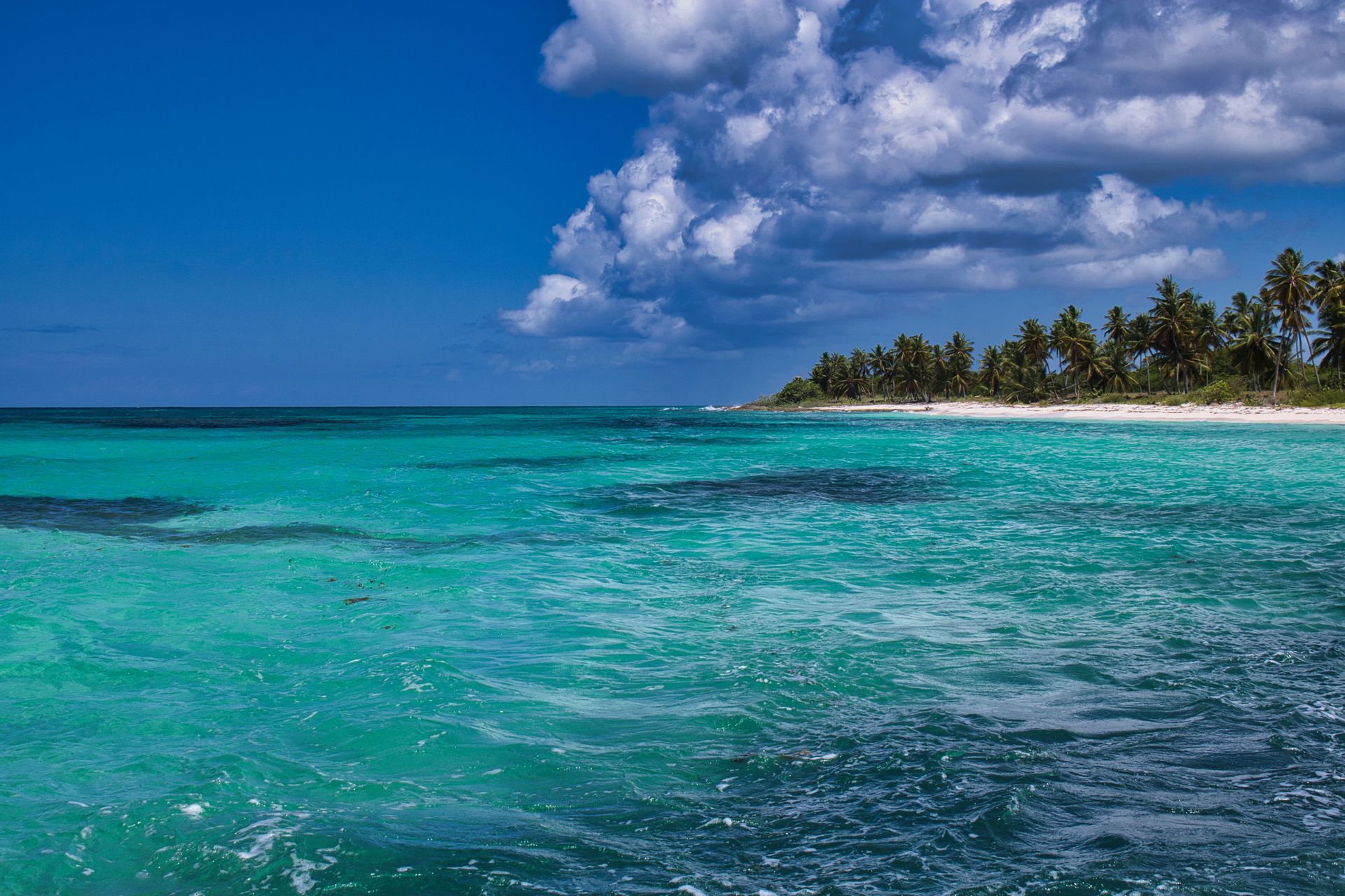 Turquoise tropical ocean with a palm-lined shoreline under a partly cloudy blue sky
