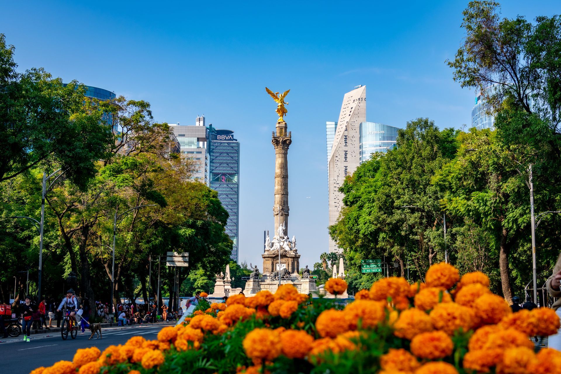 Tree-lined city avenue with orange flowers in the foreground and a tall monument under a blue sky