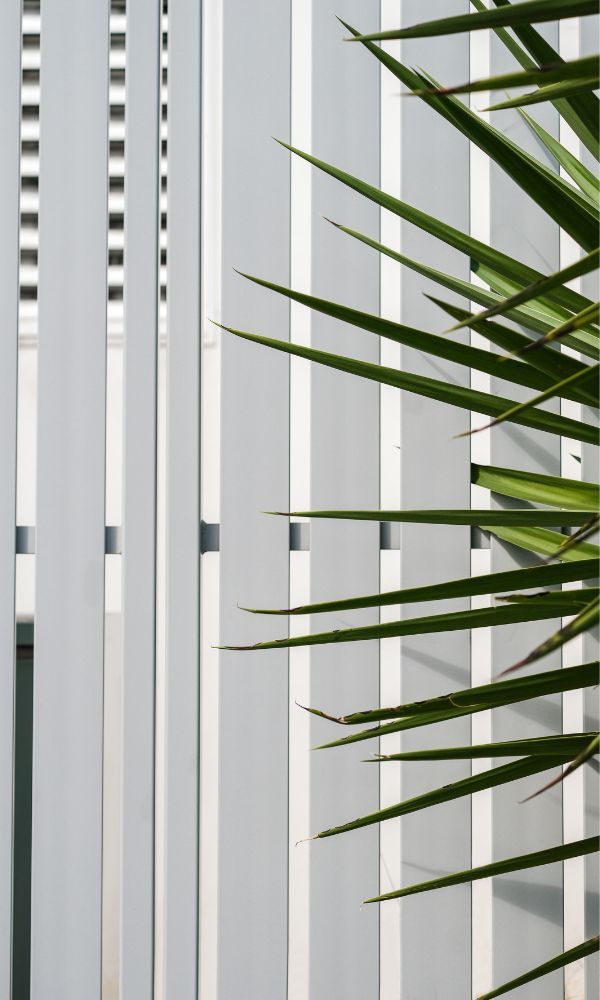 Pleated Window Blinds in Office
