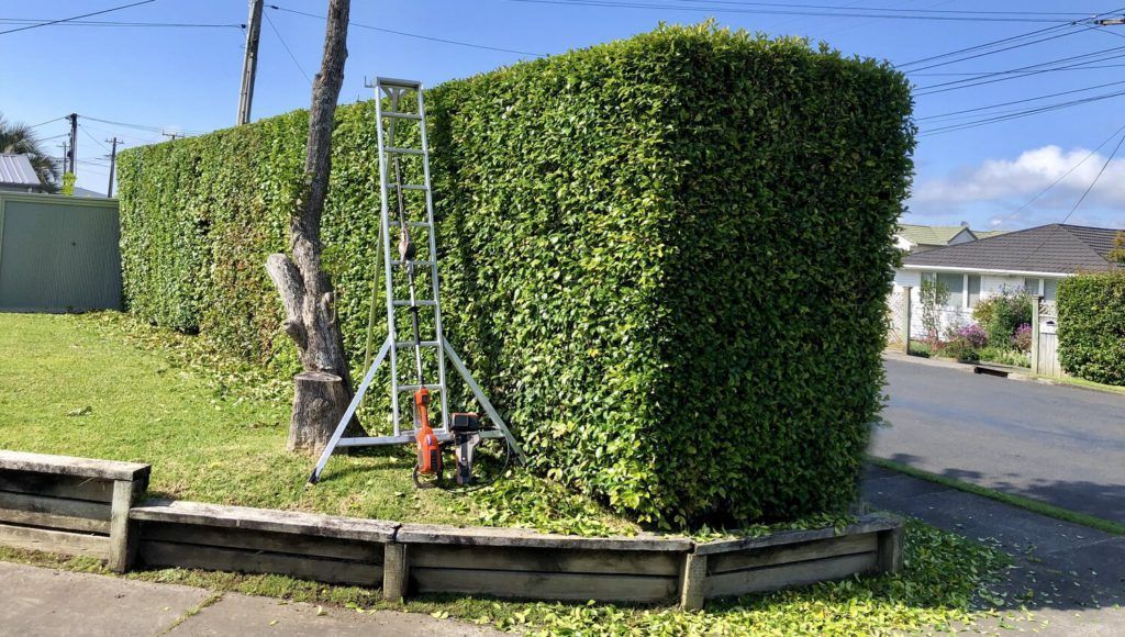 Garden maintenance