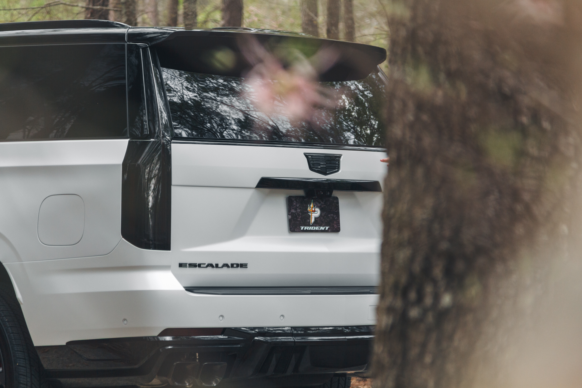 White Cadillac Escalade seen from the rear on a wooded road, partly obscured by a tree branch