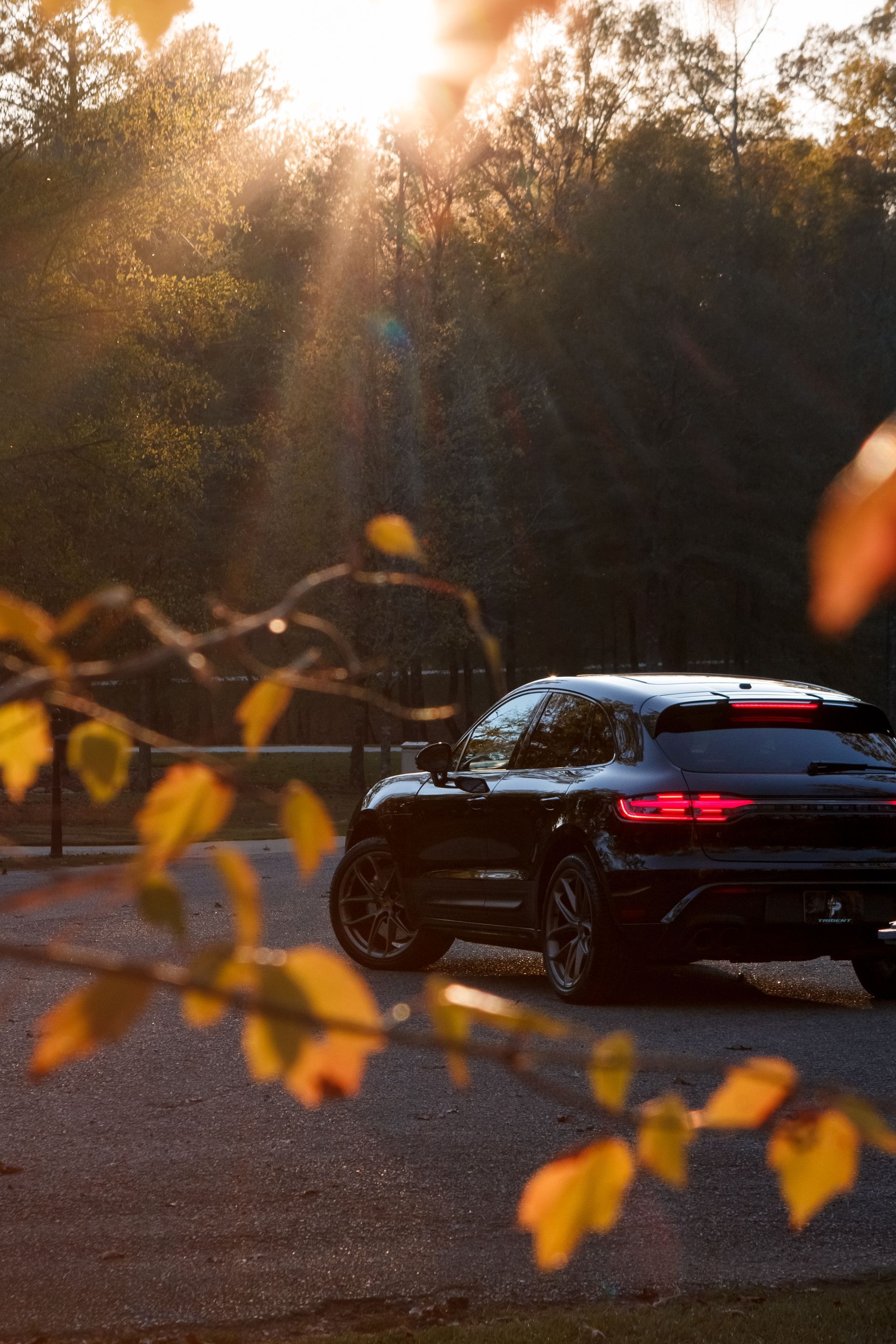Black SUV parked by a forest road at sunset, with warm sunlight filtering through autumn leaves.