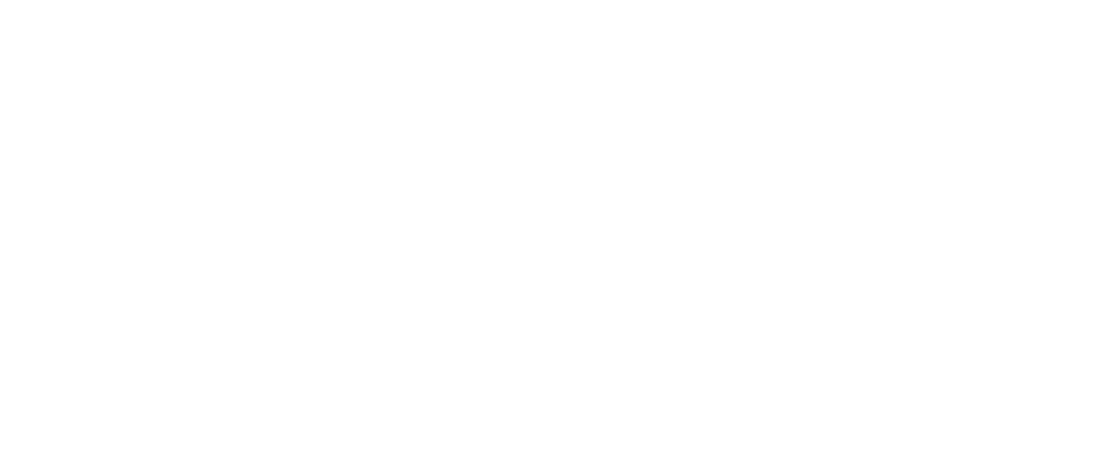 Blank white rectangle with a faint gray horizontal line near the lower edge