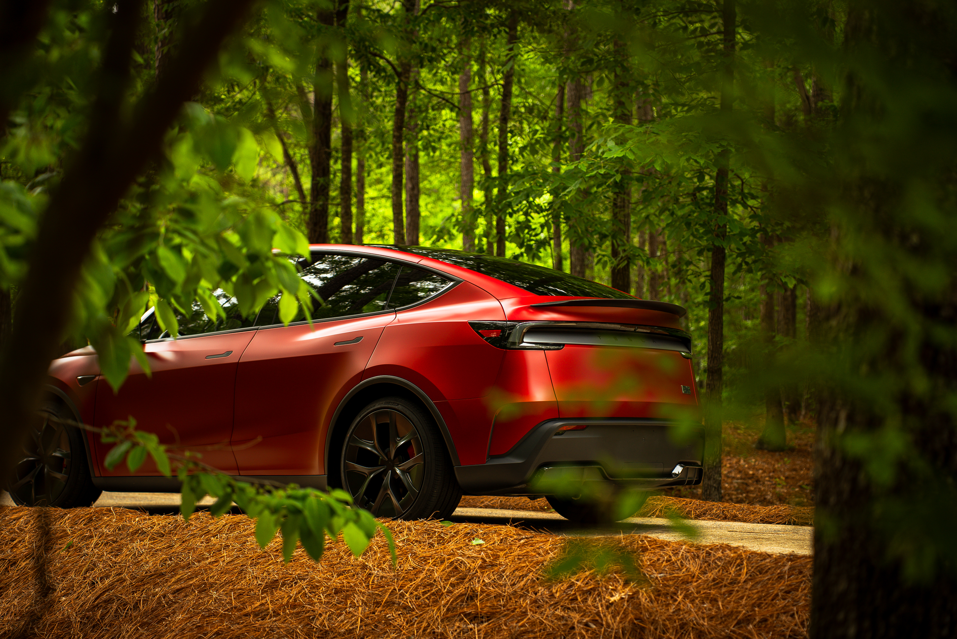 Red sports car parked on a forest road, framed by green trees and leaves