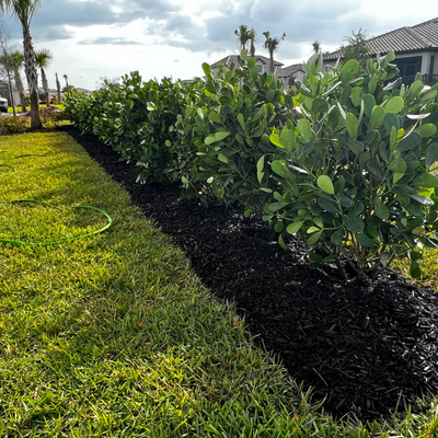 Privacy-Hedges