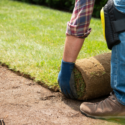 rolling-sod